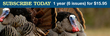 Turkey and Turkey Hunting Magazine