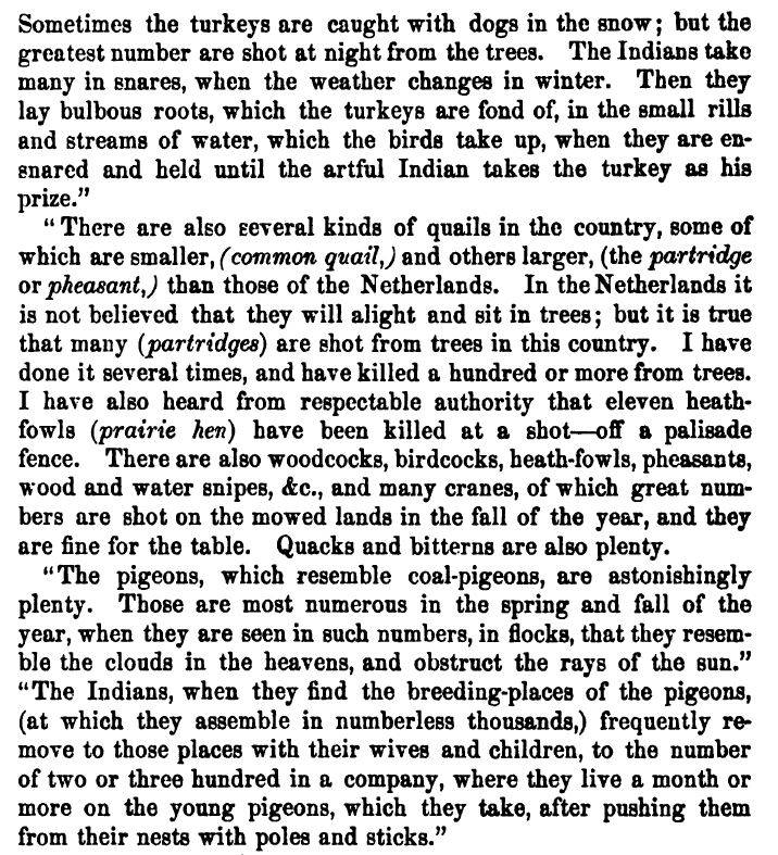 Wild Turkeys in the 1800's