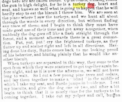 1875 New York turkey dog