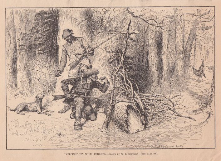 1885 turkey dog hunt