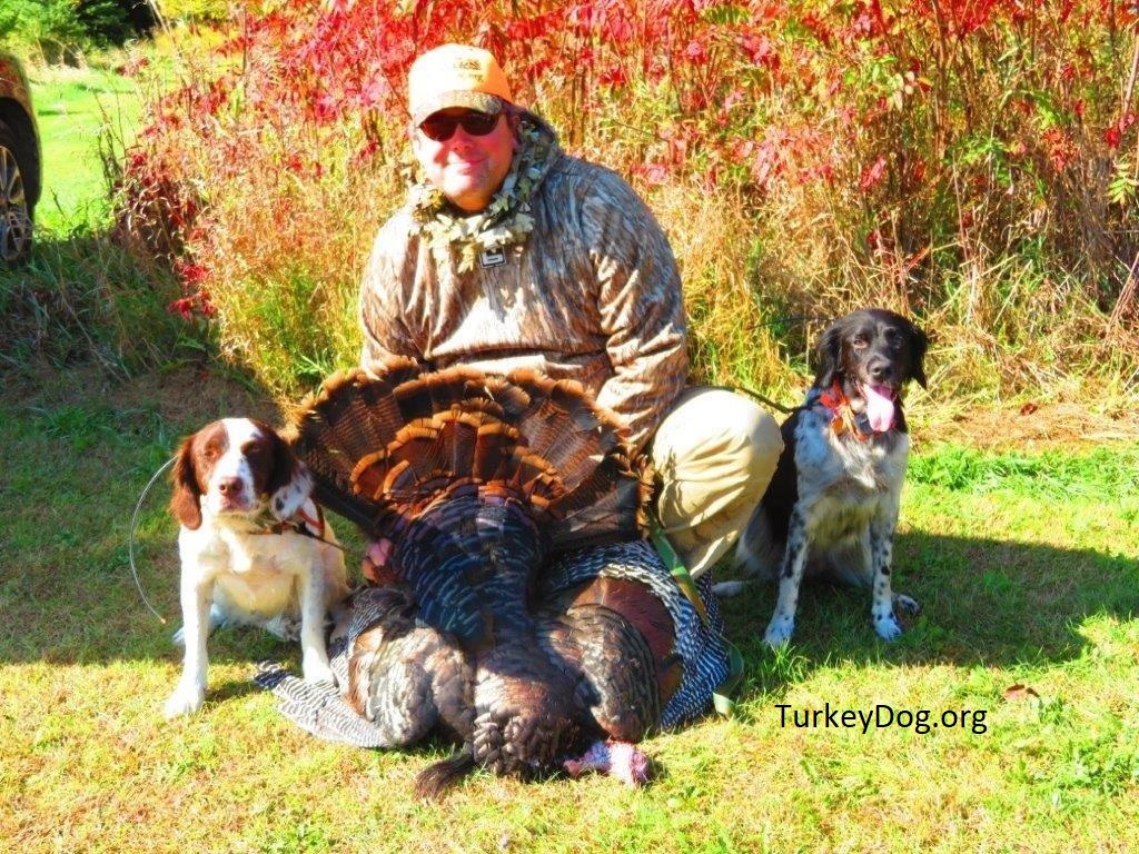 Best turkey hunting is in WI