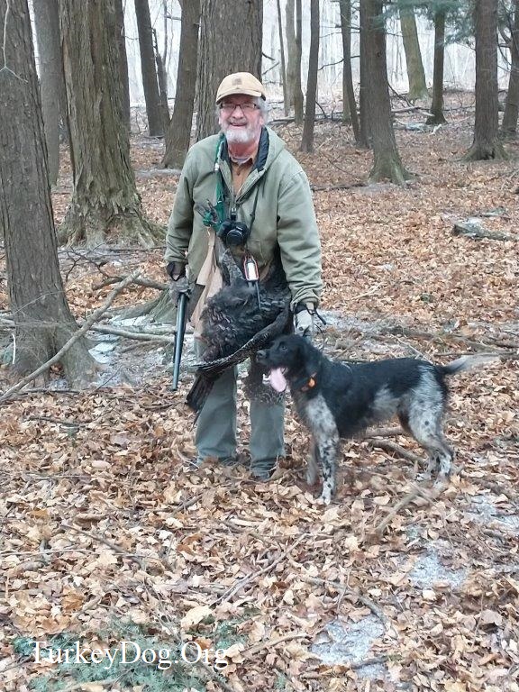 Fall turkey hunter and dog.