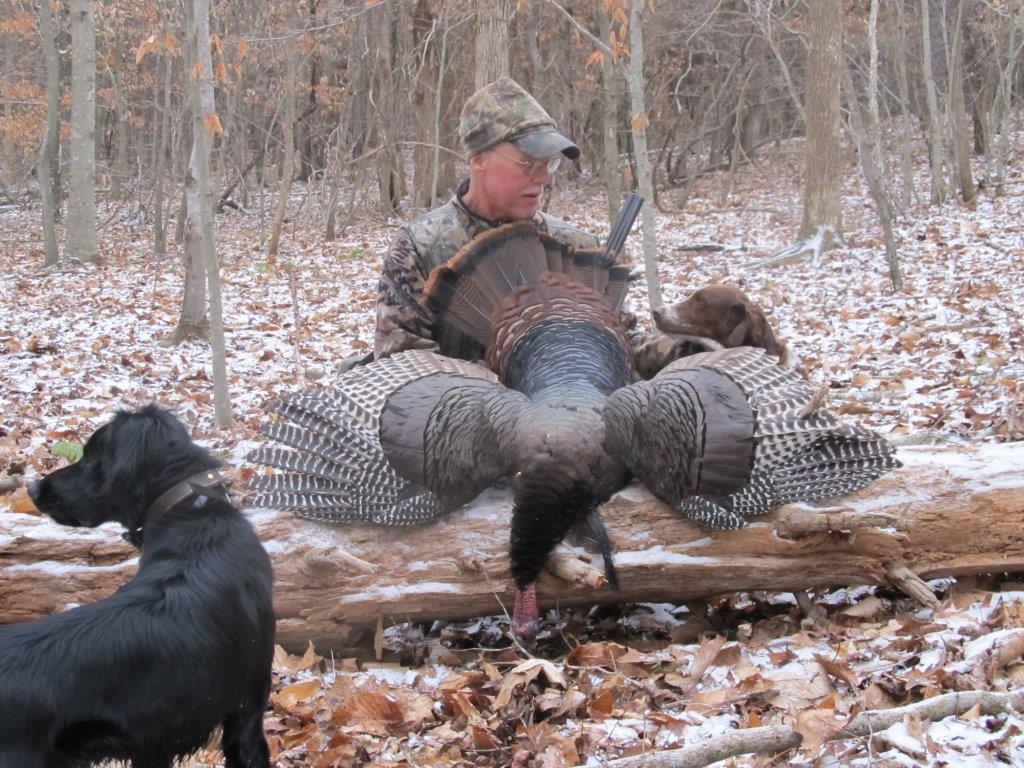 Earl Sechrist's dog Patch hunting with Gratten Hepler's dog Missy