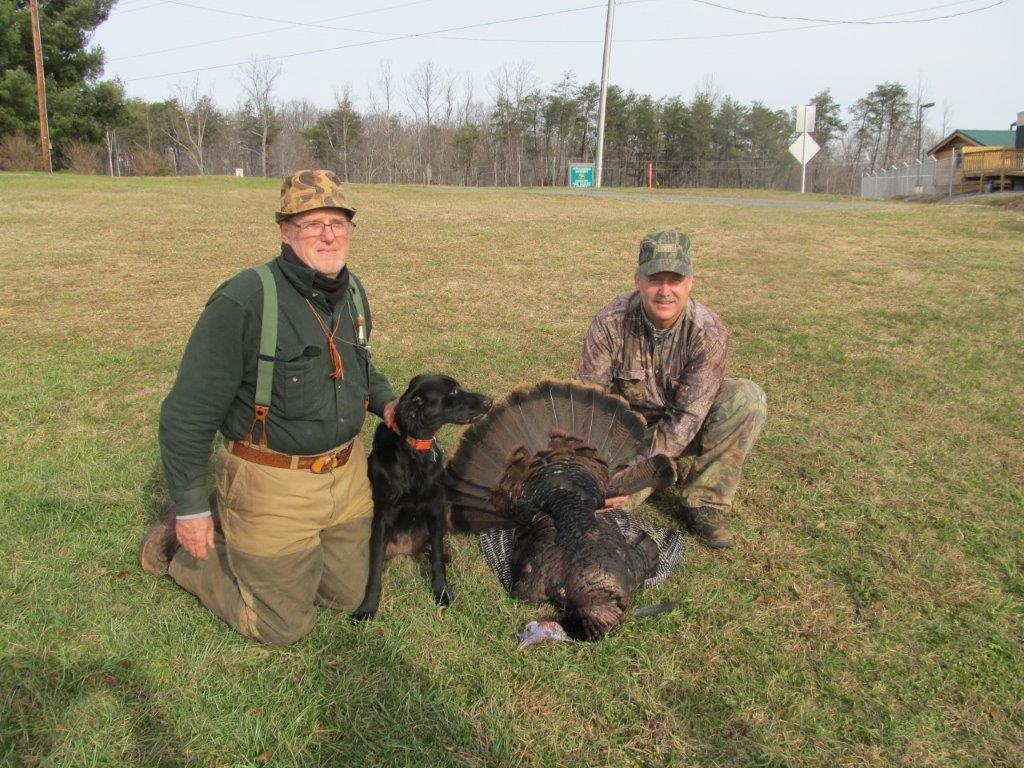 Turkey hunting in Quantico with Virginian turkey dogs.