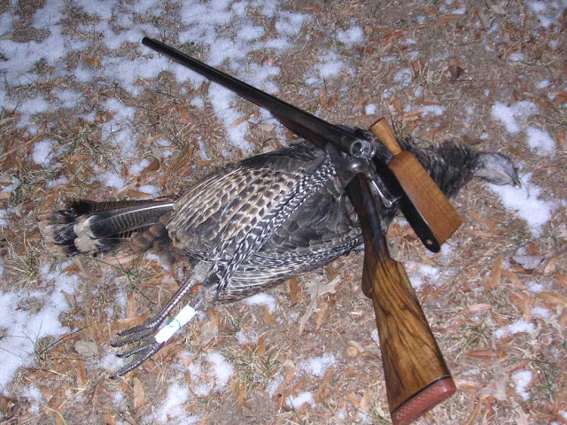 turkey hunting in January with Grandpa's double barrel shotgun