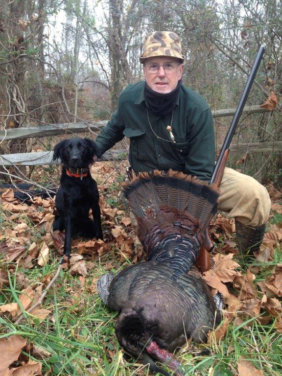 Virginia dropper wild turkey hunting dog