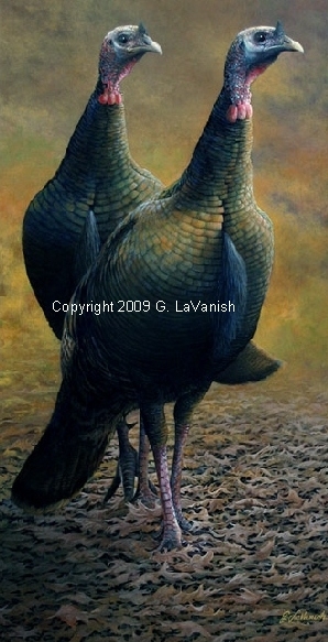 George LaVanish's "The Contenders" wild turkey print