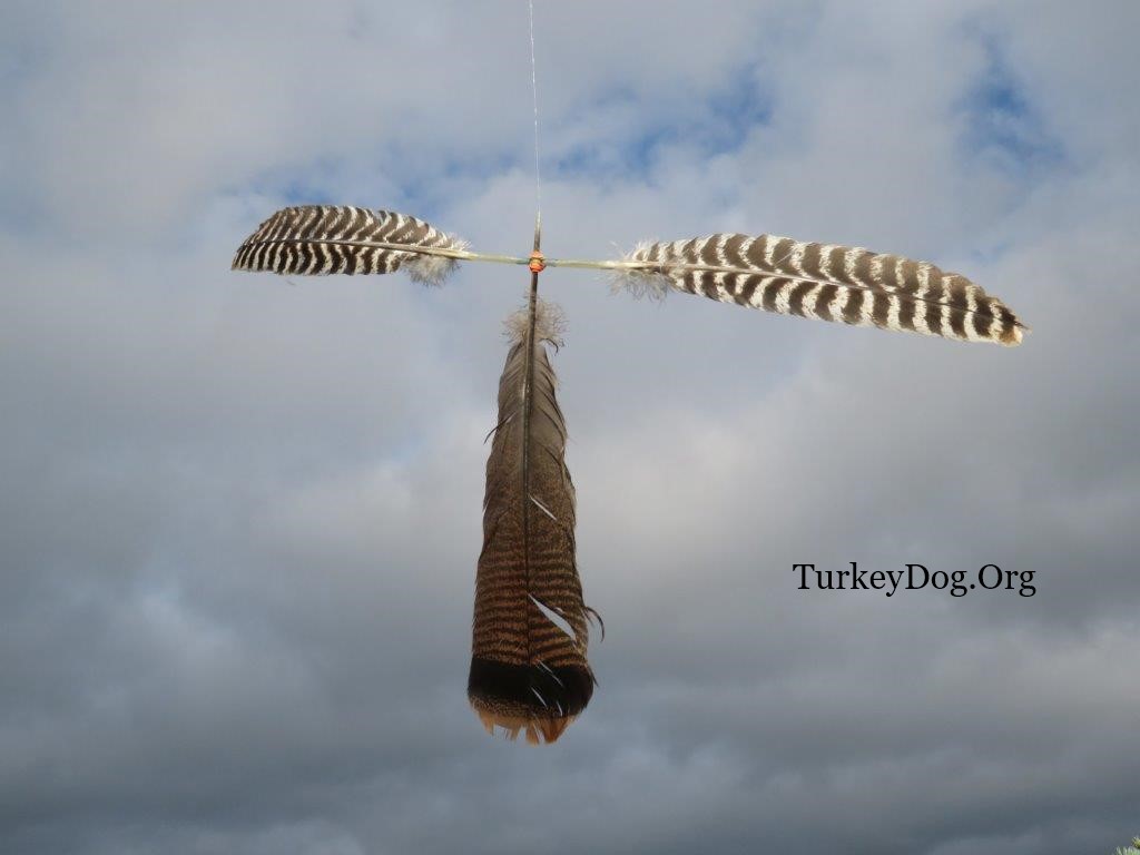 Turkey feather Kite
