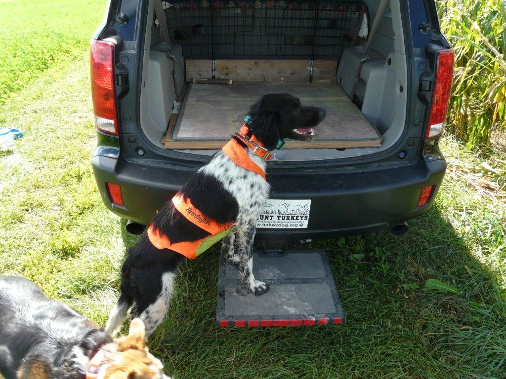hitch platform for turkey dog to jump in the truck
