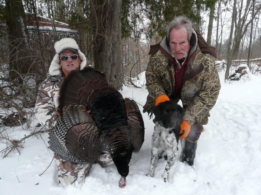 Lucky Wisconsin turkey dog gets hunters a winter turkey