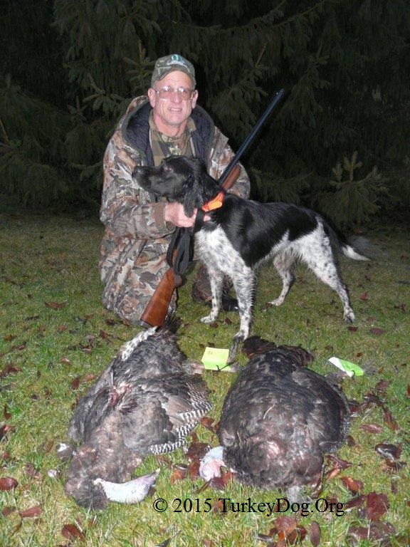 The best turkey hunting dog in the world scattered the turkeys for this WI hunter so he could call them back in.
