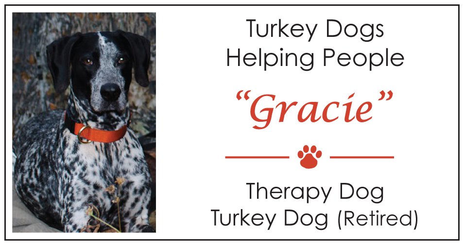 Gracie's turkey dog therapy dog calling card