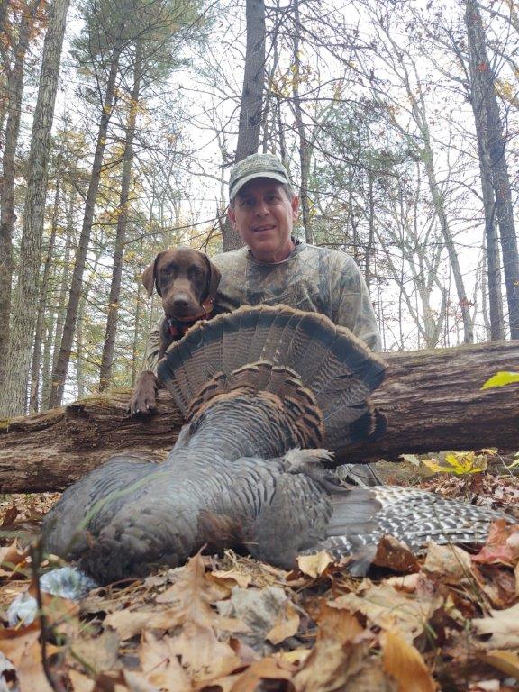 Virginia turkey hunting with a Labrador