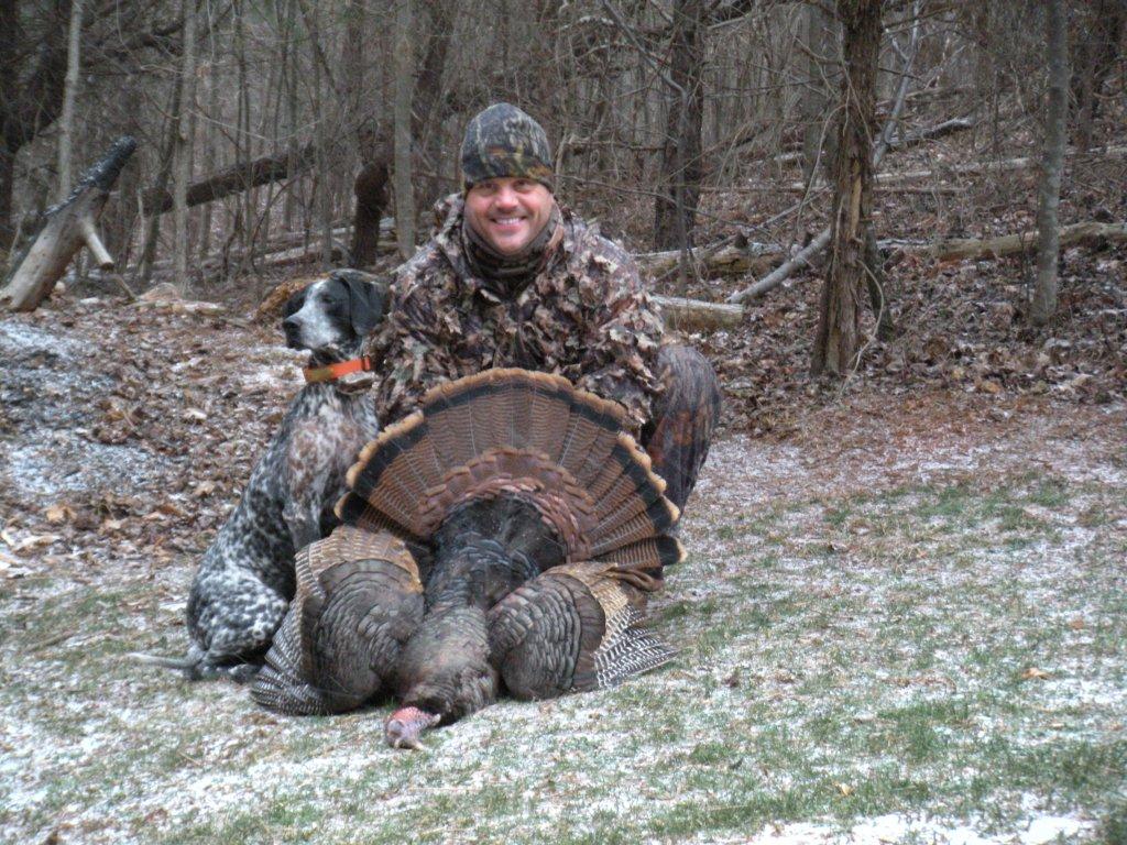 Virginia turkey not afraid of coyotes after the attack