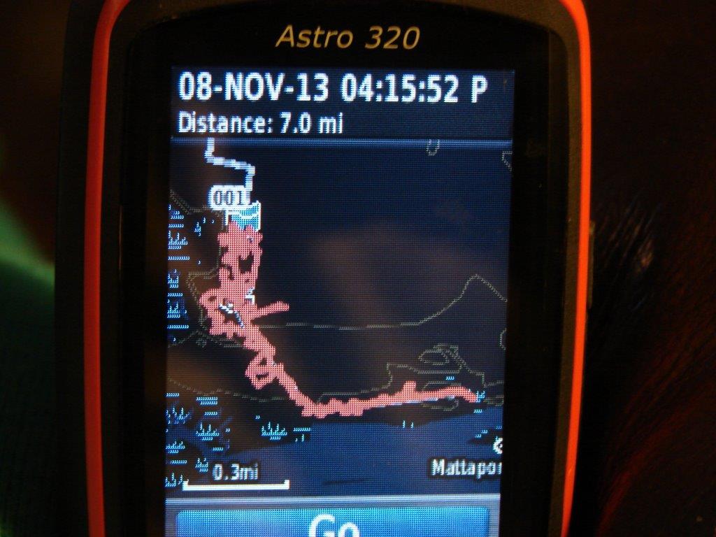 Garmin Astro says Spot ran 7 miles at Mattaponi