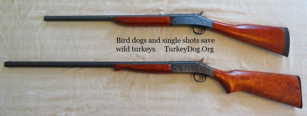 Use a single shot shotgun to conserve wild turkeys