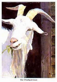 the prodigal goat by tom j whitaker