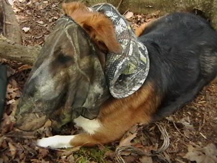 turkey dog wears boonie hat with drawstring