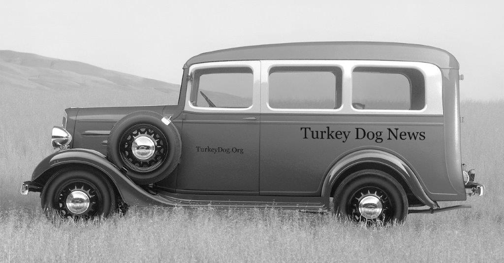 AWTHDA Turkey Dog News