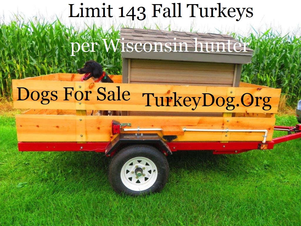 Turkey Dogs For Sale in United States of America