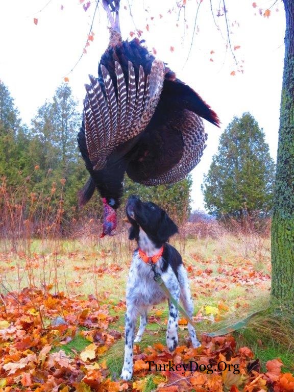 There's spring turkey hunters, then there's fall turkey hunters.