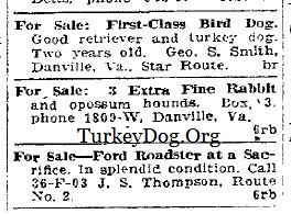 1925 ad for Turkey Dog for sale