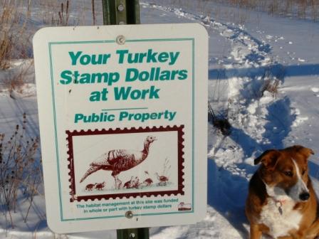 wild turkey stamps purchase wisconsin hunting land